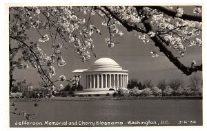 RPPC Postcard Jefferson Memorial & Cherry Blossoms Washington DC