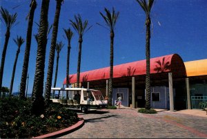 Texas Galveston Island Palm Beach At Moody Gardens