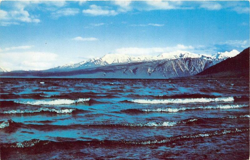 Yukon Canada~Kluane Lake View~Famous for Lunker Trout~Mountains Bknd~c1950s Pc