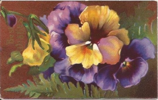 Purple Yellow  Pansies to say  Best Wishes Vintage Postcard  1911 Postmark