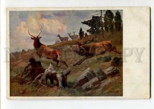 402795 DEER HUNT Vintage Colorful Russia Holland RPPC