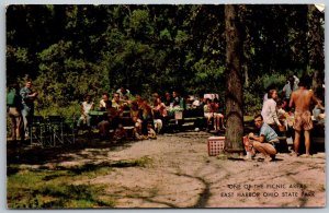East Harbor Ohio 1960s Postcard Picnic Area State Park