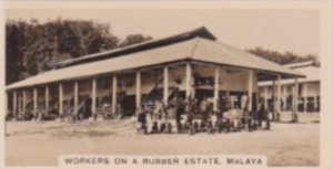 Carreras Vintage Cigarette Card Malayan Industries No 18 Workers On A Rubber ...