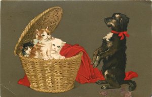 Meissner & Buch Animal Art Postcard; Wicker Basket of Cats, Terrier Dog Sits Up