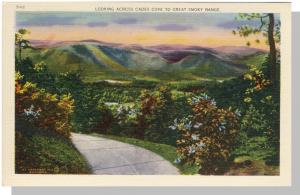 Smoky Mountains, TN/Tenn Postcard, Cades Cove, Near Mint!