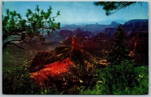Vtg Arizona AZ Point Imperial Grand Canyon National Park 1950s View Postcard