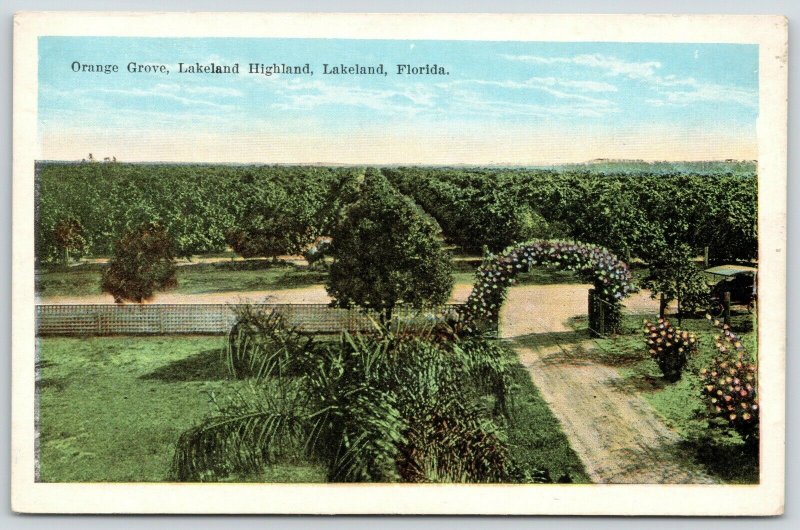 Lakeland Florida~Lakeland Highland Orange Grove~Flower Arbor Drive~Car~1920s 