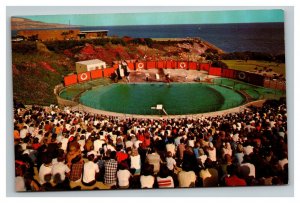 Vintage 1960's Postcard Sea Arena at Marineland of the Pacific Palos Verdes CA