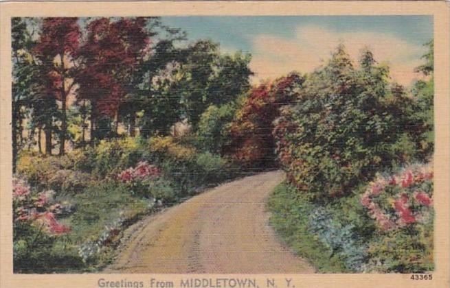 New York Greetings From MIddletown 1943