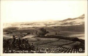 Hawaiian Islands Hawaii HI Pineapple Fields Real Photo Vintage Postcard