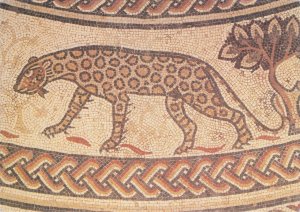 Mosaic Tiger Cat Animal Roman Panel Woodchester Villa Rare Postcard