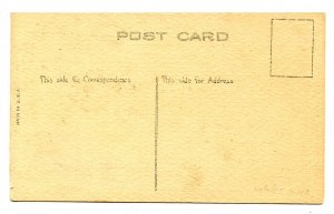 Greeting - Leap Year At Last!