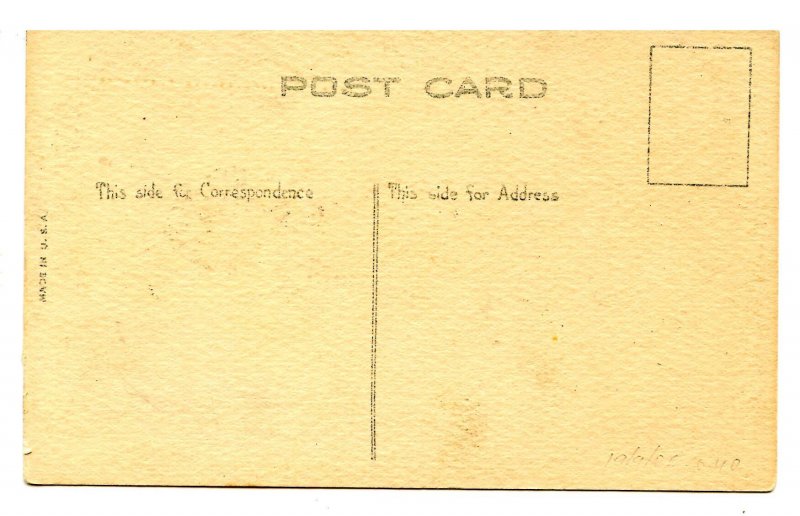 Greeting - Leap Year At Last!