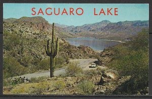 Arizona - Saguaro Lake On Apache Trail - [AZ-221]