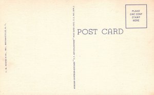 Vintage Postcard Looking Down Western Slope Taconic Trail Williamstown Mass.