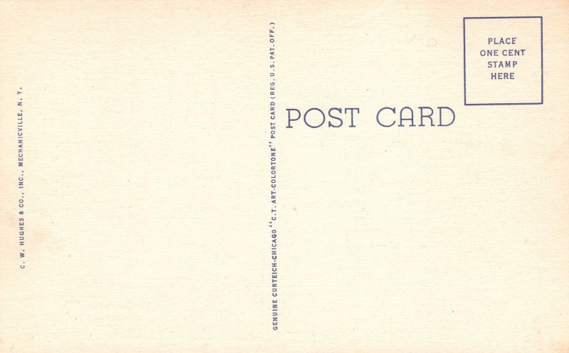 Vintage Postcard Looking Down Western Slope Taconic Trail Williamstown Mass.