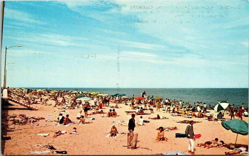 Greetings From Rehoboth Beach Delaware DE Postcard Plastichrome VTG UNP Vintage 