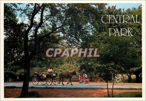 Postcard Modern New York City Central Park
