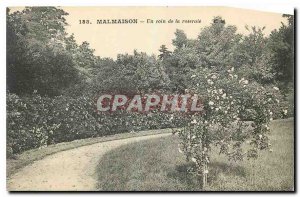 Old Postcard Malmaison A corner of the Rose Garden