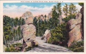 South Dakota Road Scene In Custer State Park