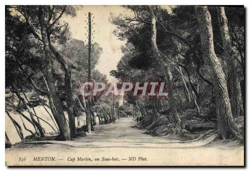 Old Postcard Menton Cap Ferrat a Undergrowth