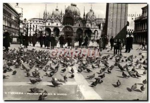 Old Postcard Venezia Marco Piccioni in Piazza S