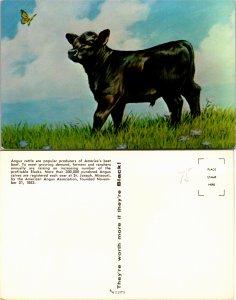 Angus Cattle (23693