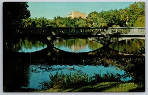Emporia KS~Kansas State Teachers College~Wooster Lake Bridge~1950s Postcard