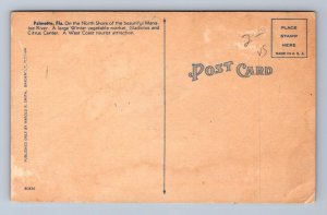 AERIAL VIEW LOOKING NORTH PALMETTO FLORIDA POSTCARD (1940s)