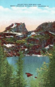 Vintage Postcard Hallett Peak Bear Lake Rocky Mountain National Park Colorado CO