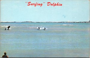 Texas South Padre Island Dolphins Surfing 1977