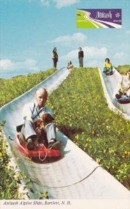 New Hampshire Bartlett Attitash Alpine Slide