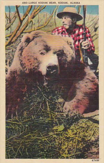 Alaska Kodiak Island Hunter With Large Kodiak Bear