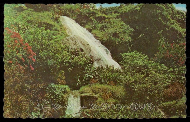 Waterfall, Shaw Park Gardens, Ocho Rios, Jamaica, W. I.