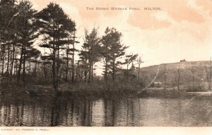 Vintage Postcard 1900's View of The Hoosic Whisick Pond Milton Massachusetts MA