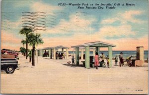 Picnic at Wayside Park on Gulf, Near Panama City FL c1954 Vintage Postcard X48