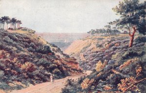 England Durley Chine Bournemouth vintage postcard