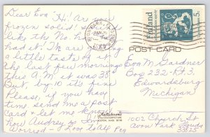 Florida~Macaws~Seashells~Flamingos~Alligator~Flowering Tree~1968 Postcard