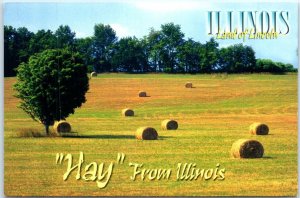 Postcard - Hay From Illinois, Land of Lincoln - Illinois