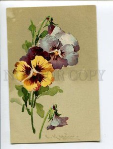 3052498 Colorful PANSY by C. KLEIN vintage PFB RPPC 1905 year