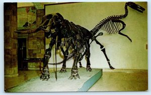 TRENTON, NJ ~ State Museum MASTODON & DUCK BILLED DINOSAUR c1960s Postcard