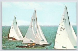 Transportation~Sail Boats~Cape Cod MA~Boat Racing~Figawi Race Biggest~Vtg PC
