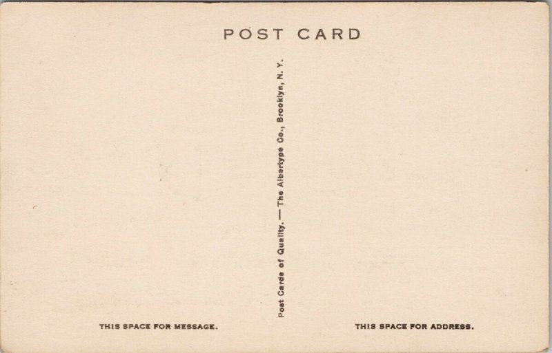 Tucson AZ Catalina Mountains Arizona Albertype Unused Rasmessen Postcard G27