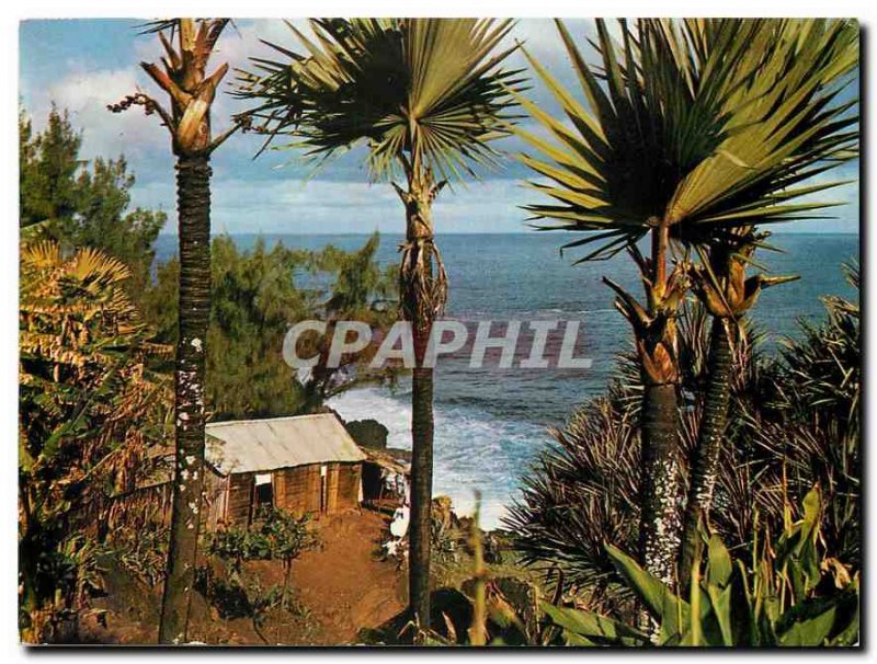 Modern Postcard La Reunion Region Saint Pierre Langevin