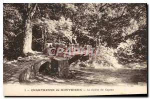 Old Postcard Chartreuse Montrieux The river of Capeau