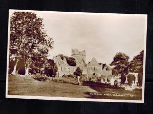 Mint Picture Postcard Ireland County Kerry Killarney Muckross Abbey