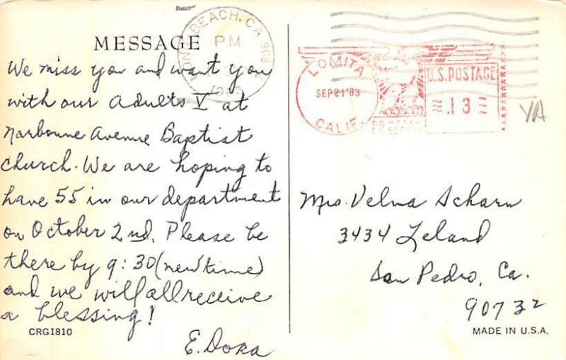 Butterflies View Postcard Backing 