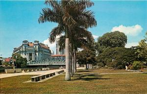 Vintage Chrome Postcard; Queen Elizabeth Walk, Singapore, Palm Trees, Unposted