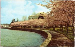 Jefferson Memorial , tidal basin - Curt Teich