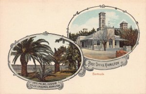 Date Palms and Post Office, Hamilton, Bermuda, Early Postcard, Unused